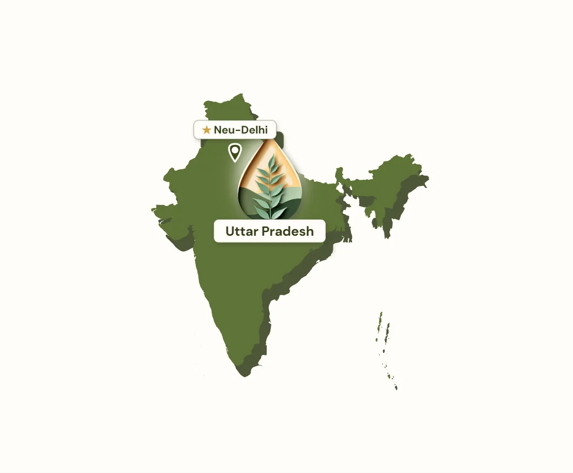 Herkunftskarte Indien