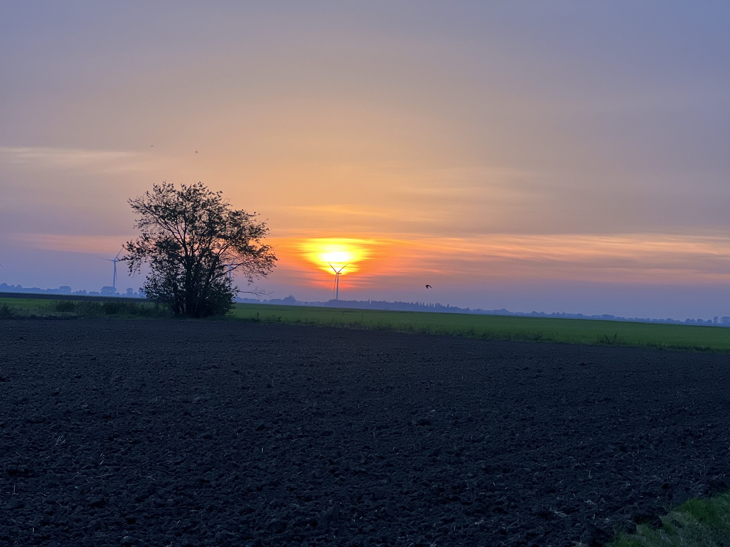 Sonnenaufgang über dem Rheiderland bei Bunderhee, die Heimat von DOLLART DROPS