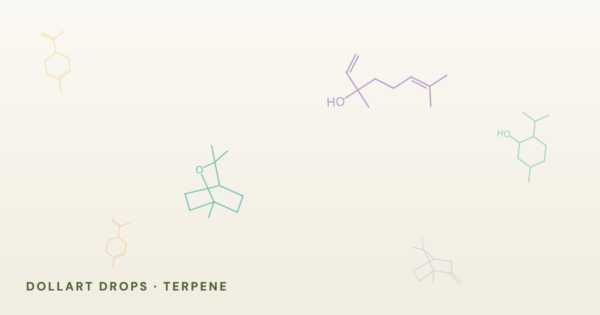 Strukturformeln der Terpene aus den sechs Dollart-Drops-Ölen in den Etikettenfarben