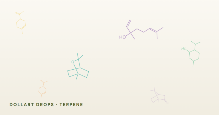Terpene: Warum deine Zitrone nach Zitrone riecht