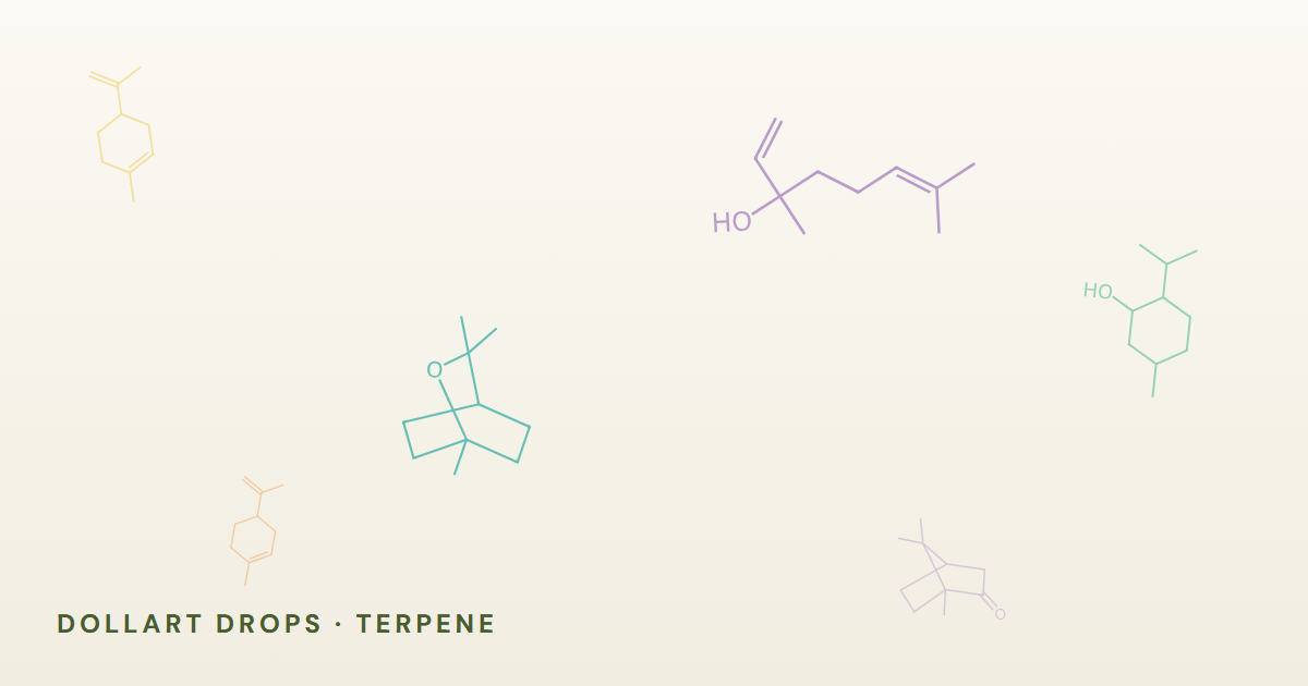 Strukturformeln der Terpene aus den sechs Dollart-Drops-Ölen in den Etikettenfarben